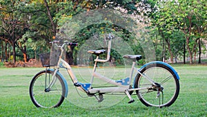 Tandem bicycle in the park
