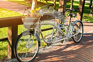 Tandem bicycle in the park.