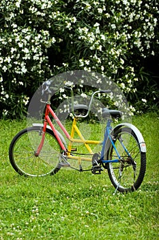 Tandem bike