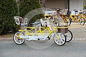 Tandem bikes for rent in a park