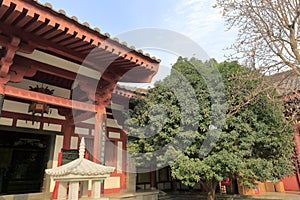 The tang dynasty architecture of the great ciensi temple, adobe rgb