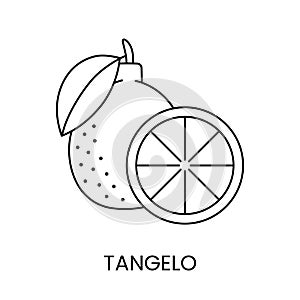 Tangelo citrus fruit, line icon in vector to indicate on food packaging about the presence of this allergen