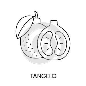 Tangelo citrus fruit, line icon in vector to indicate on food packaging about the presence of this allergen