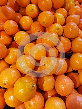 Tangelo citrus fruit orange minnelola