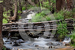 Tangelwood Creek Running with summer mountain snowmelt