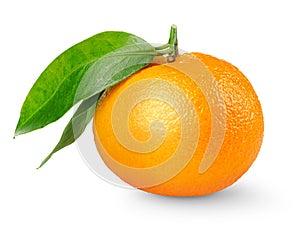 Tangerine