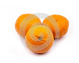 Tangerine citrus fetus on white background