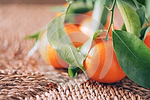Tangerine or clementine with green palm leaves on rattan background. Copy space. Christmas or New year concept