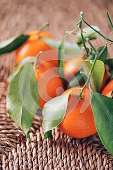 Tangerine or clementine with green palm leaves on rattan background. Copy space. Christmas or New year concept