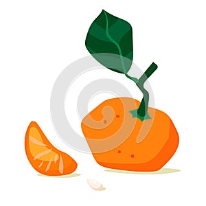 Tangerine fruit. Mandarin slice. Cartoon vector icon isolated on white background. Series of food and drink and