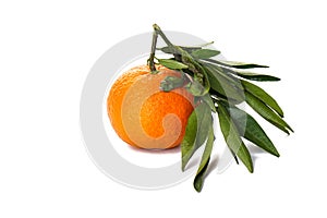 Tangerine with a green branch isolated on a white background