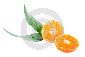 Tangerine with leaves