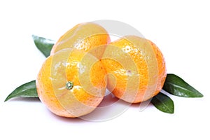 Tangerine or mandarin fruit