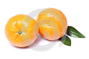 Tangerine or mandarin fruit