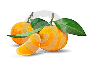 Tangerine or mandarin fruit with leaves isolated on white background.