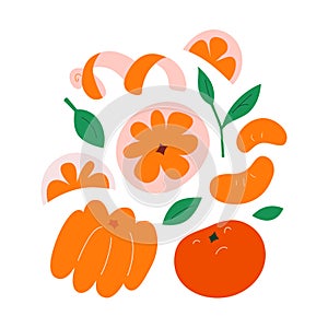 Tangerine or mandarin, peeled clementine fruit slices with leaves, hand drawn doodle illustration isolated on white