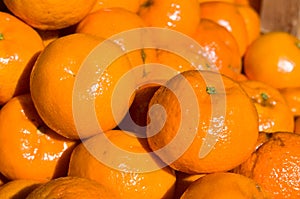 Tangerine mandarine