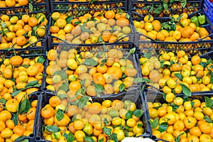 Tangerine on the market