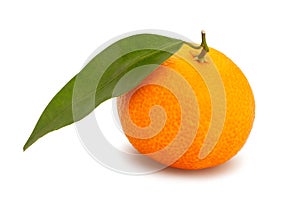 tangerine path isolated