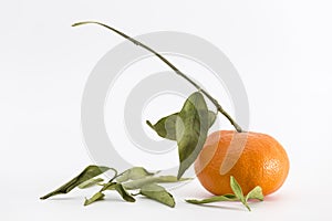 Tangerine with stem and fallen leaves on white background