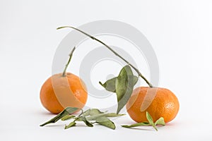 Tangerine with stem and fallen leaves on white background