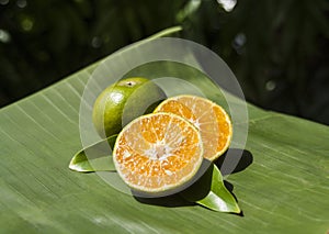 Tangerine tropical fruit