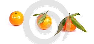 Tangerines