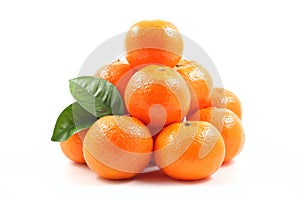 Tangerines photo