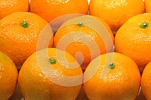 Mandarinen 