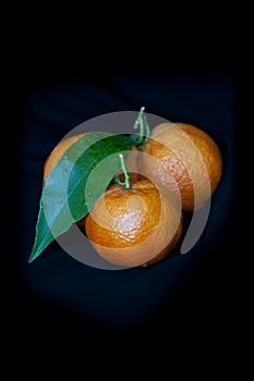 Tangerines against a black background