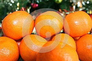 Tangerines on the background of the Christmas tree