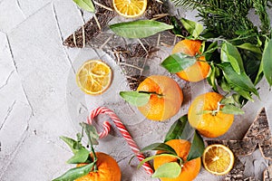 Tangerines in Christmas decor