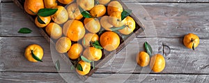 Tangerines clementines