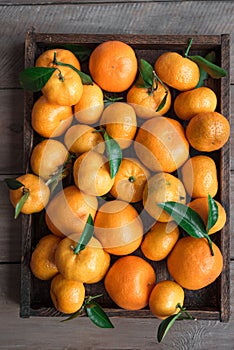 Tangerines clementines