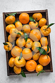 Tangerines clementines