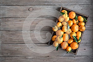 Tangerines clementines