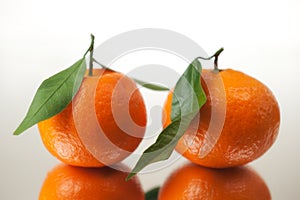 Tangerines Closeup