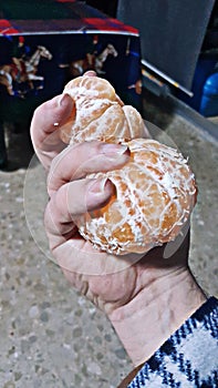 Tangerines in hand photo