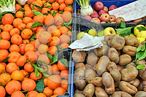 Tangerines, kiwis and apples