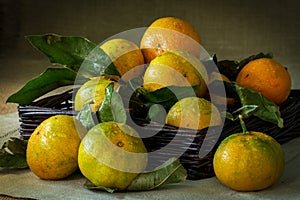 Tangerines with leaves