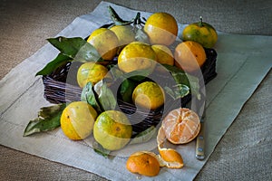 Tangerines with leaves