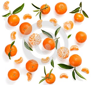 Tangerines with leaves. Top view.