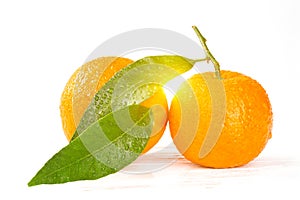 Tangerines with leaves and water drops