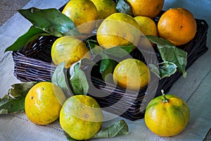 Tangerines with leaves in wooden basket on the table