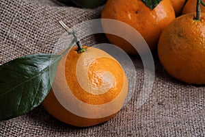 Tangerines lie on a gray background fabric, branches and green leaves. Organic food.