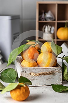 Tangerines (oranges, clementines, citrus fruits) with green leaves in wooden box on kithchen table in cozy