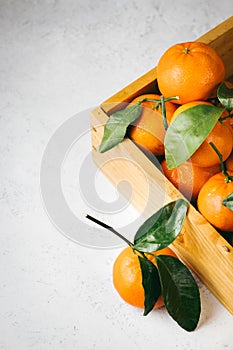 Tangerines oranges, clementines, citrus fruits with green leaves in a wooden box over light background with copy space