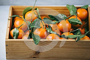 Tangerines oranges, clementines, citrus fruits with green leaves in a wooden box over light background with copy space