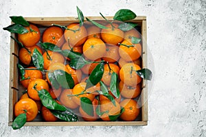 Tangerines oranges, clementines, citrus fruits with green leaves in a wooden box over light background with copy space