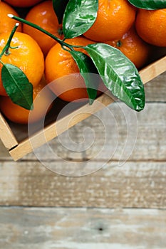 Tangerines oranges, clementines, citrus fruits with green leaves in a wooden box over light wooden background with copy space
